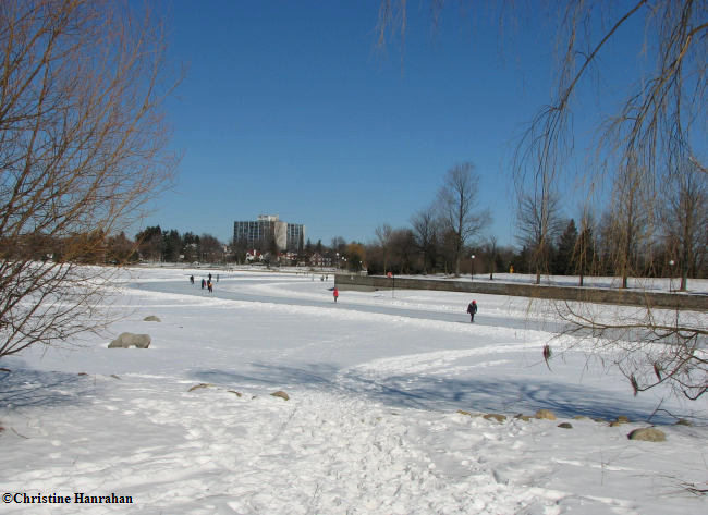 Rideau canal in winter