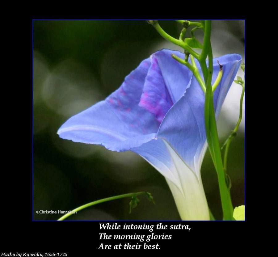 Haiku #4: While intoning the sutra