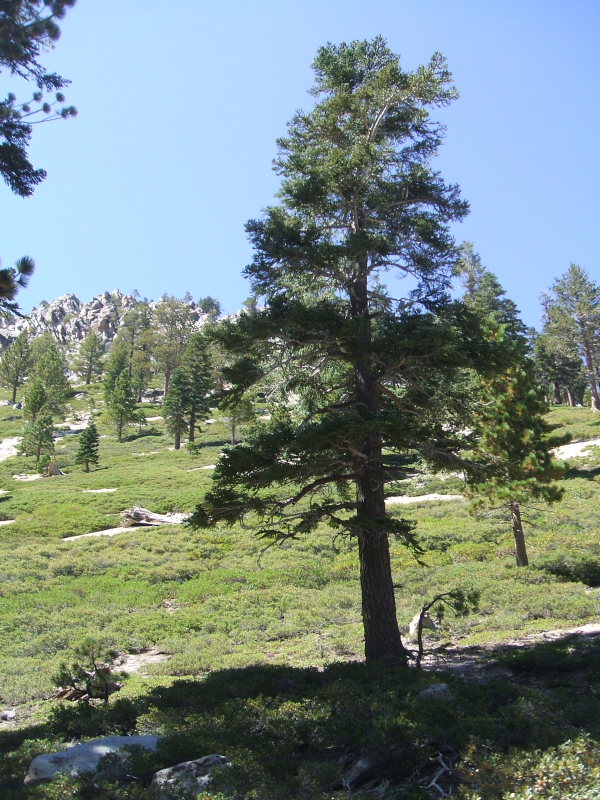 DSCF2026.JPG