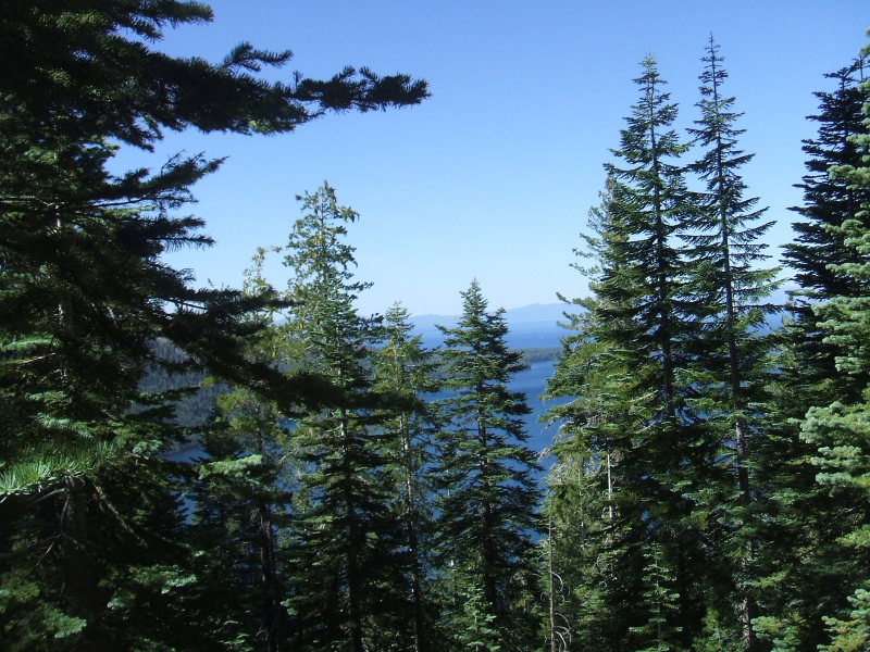 DSCF2043.JPG