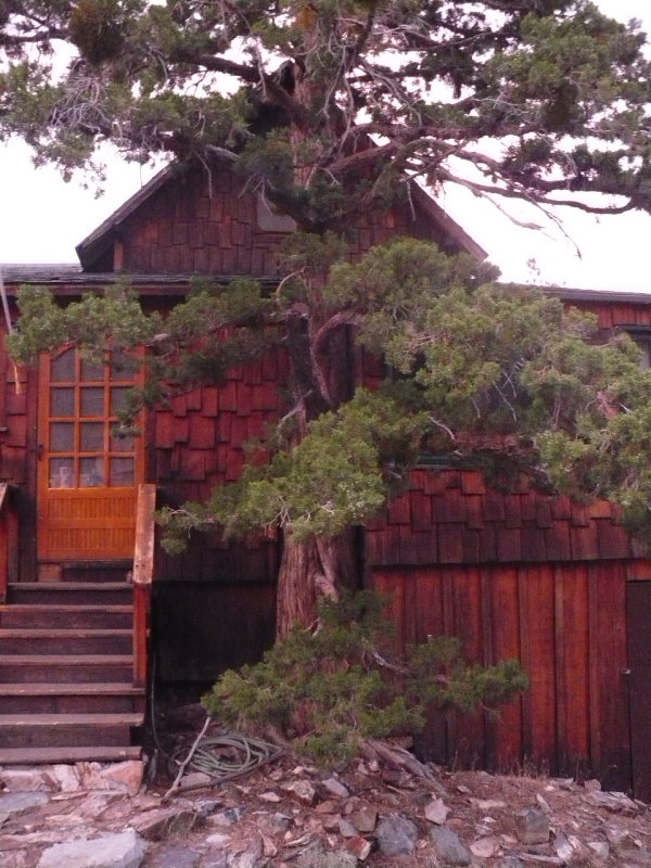 P1020325.JPG