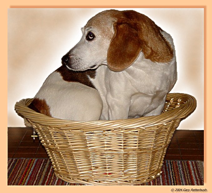 berti386pb.JPG