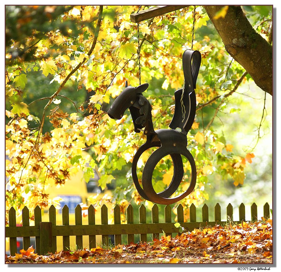 swing-5034-sm.JPG