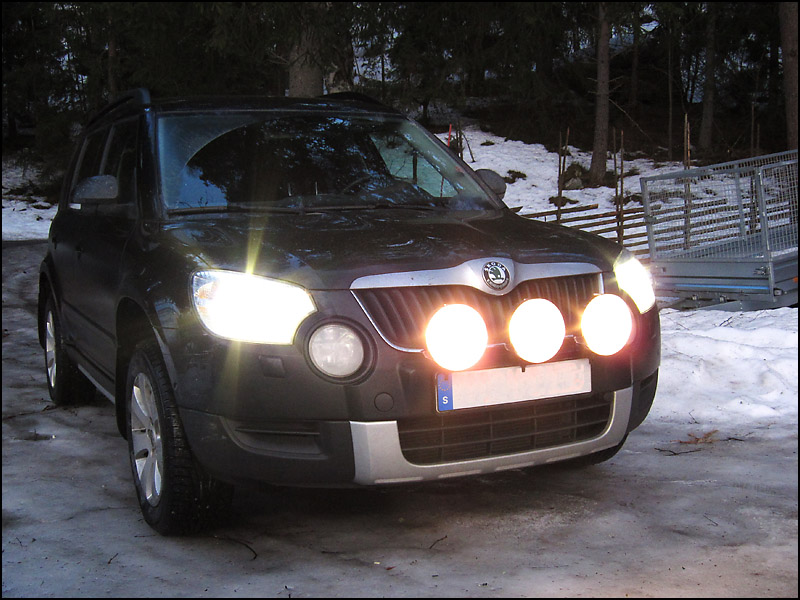 Auxiliary lamps mounted
