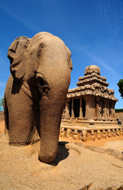 Elephant Guard