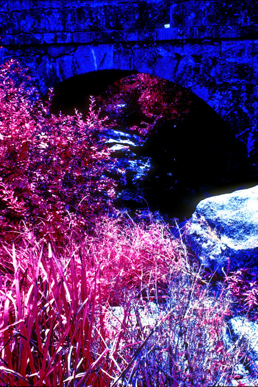 The Bridge in Infrared