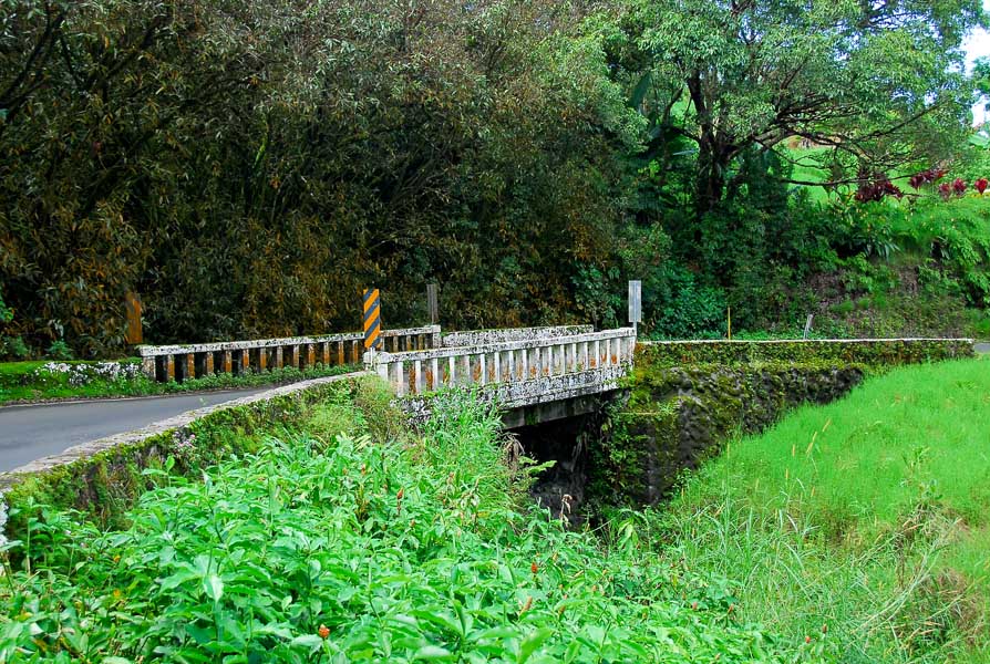 56 bridges to hana town