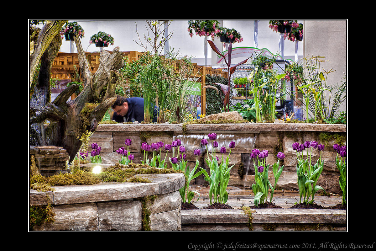 2012 - Canada Blooms - Aqua Terra - Toronto