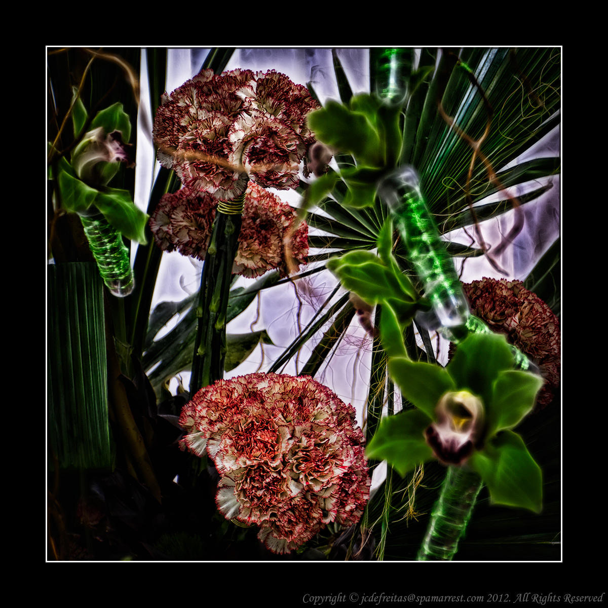2012 - Canada Blooms, Toronto