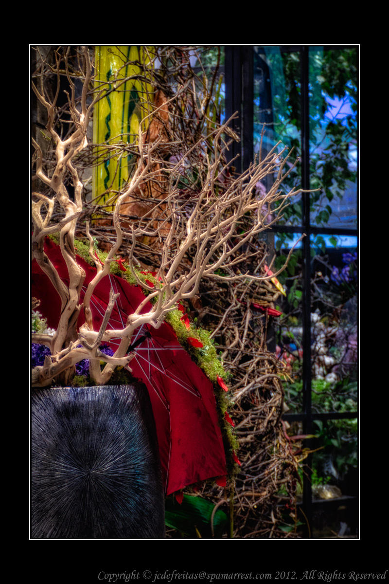 2012 - Canada Blooms, Toronto