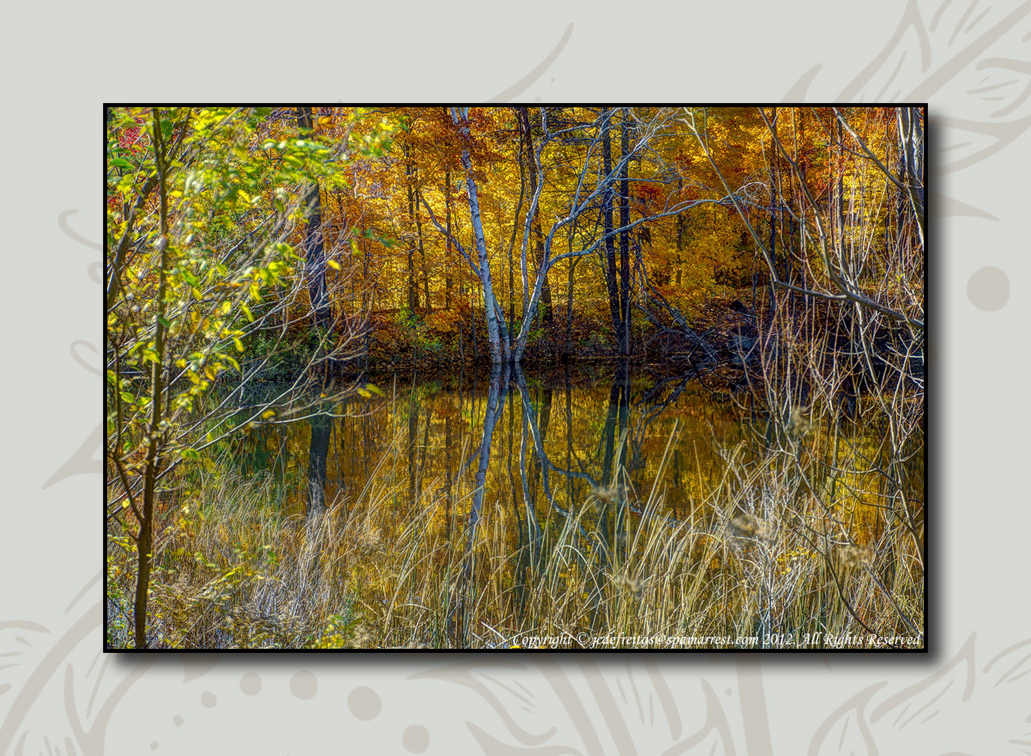 2012 - Autumn Colours - Moccasin Park - Toronto, Ontario - Canada 