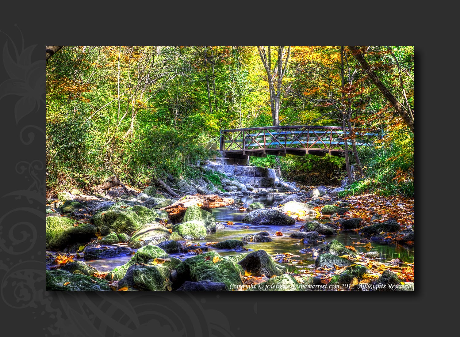 2012 - Autumn Colours - Wilket Creek Park, Toronto