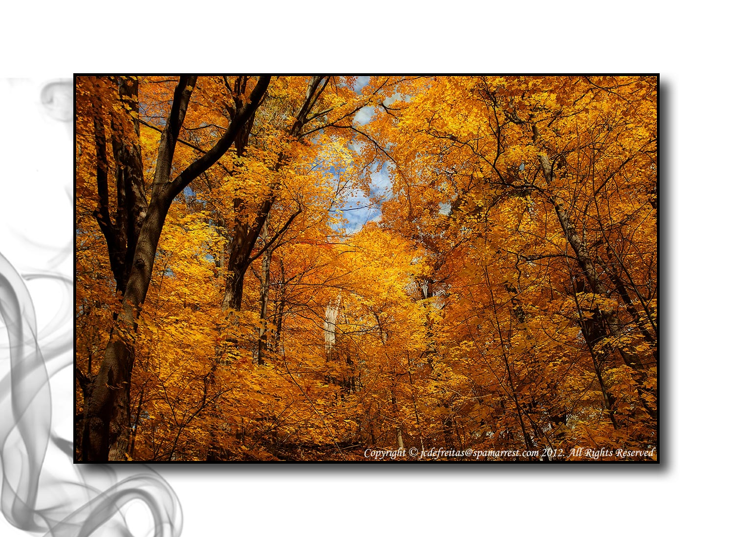 2012 - Autumn Colours - Moccasin Park - Toronto, Ontario - Canada
