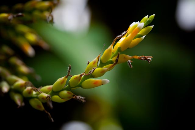 _MG_2614.jpg