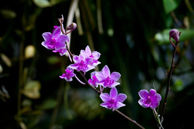 _MG_2623.jpg