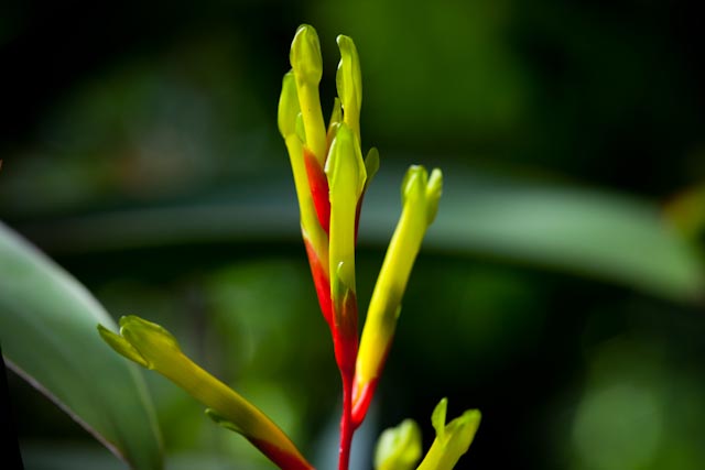 _MG_2636.jpg