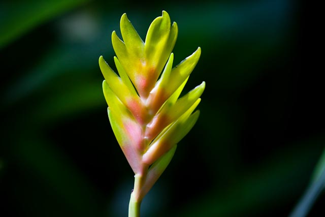 _MG_2690.jpg