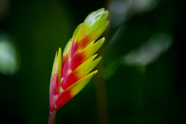 _MG_2693.jpg