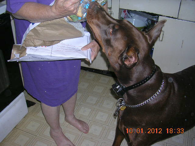 Zeva - Wants her treats