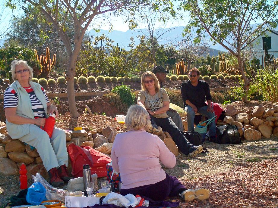 Capetonians enjoyuing a picnic.jpg