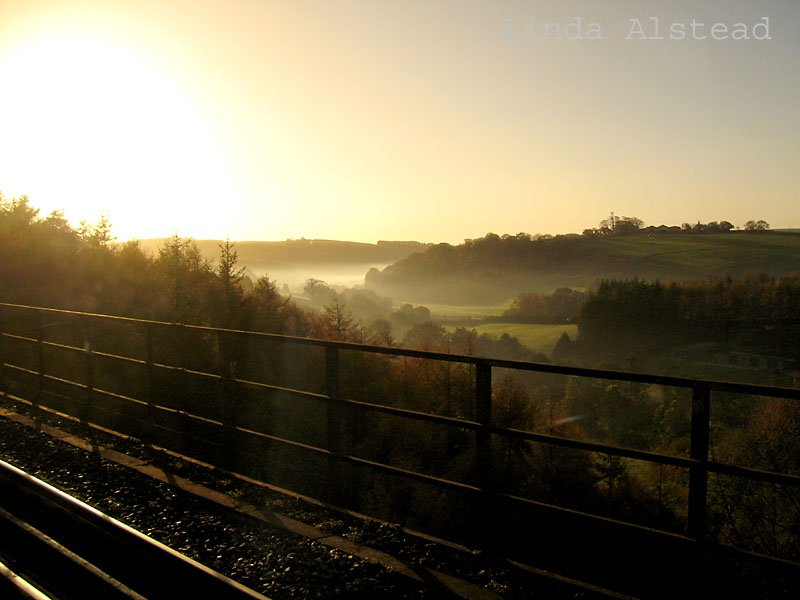 6th November 2007 - misty morn