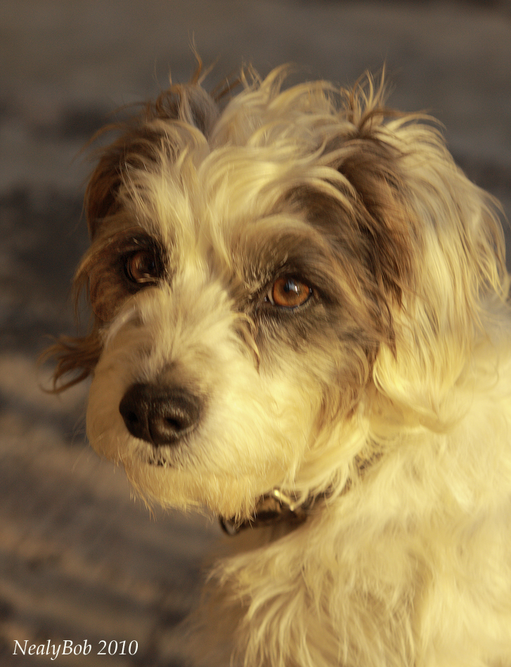 Tater February 14