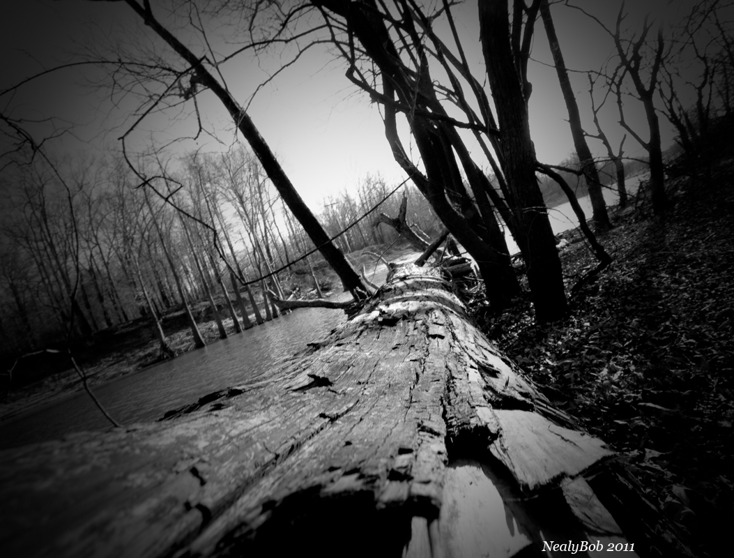 Fallen March 29