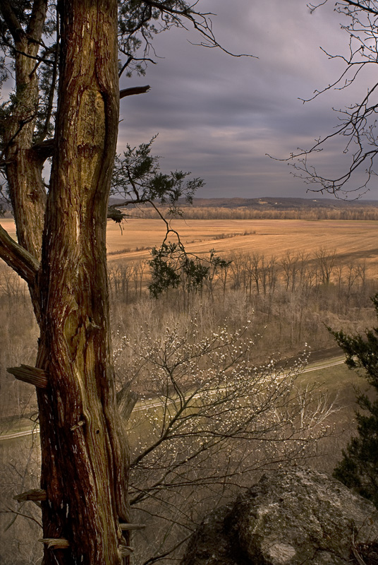 View of Labadie Bottoms