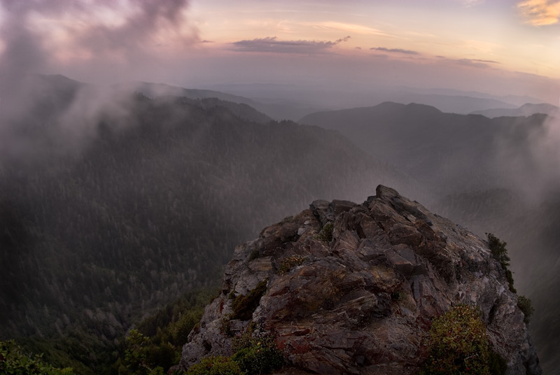 Clearing Mist
