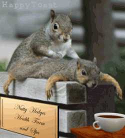 StressFreeDay1.gif
