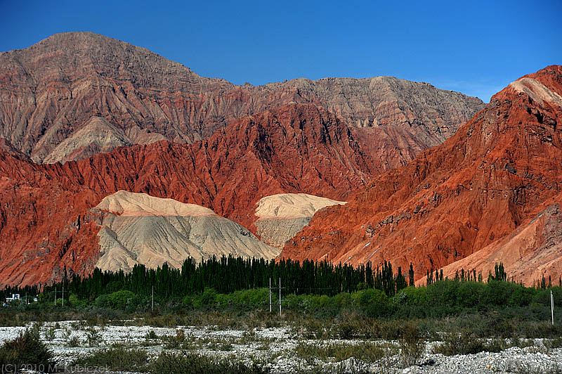 d7011 281.jpg