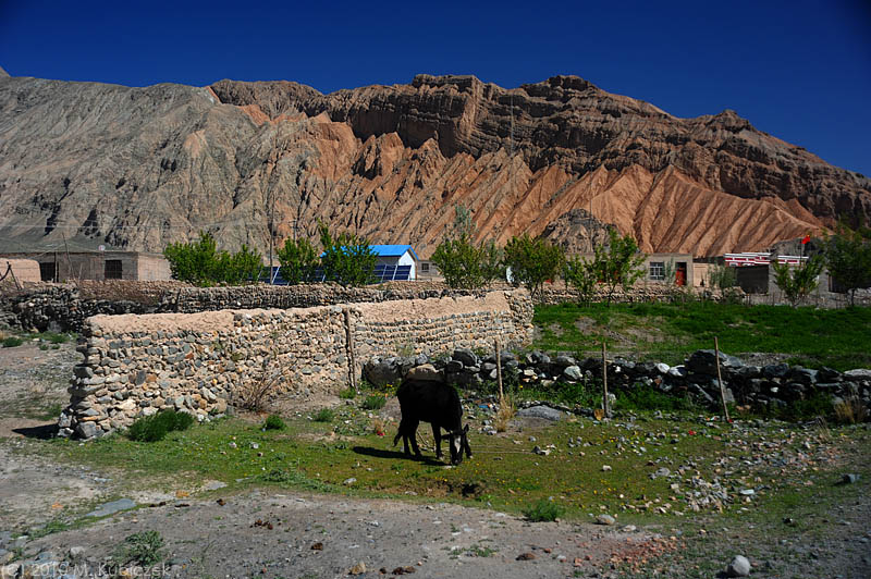 d7011 291.jpg