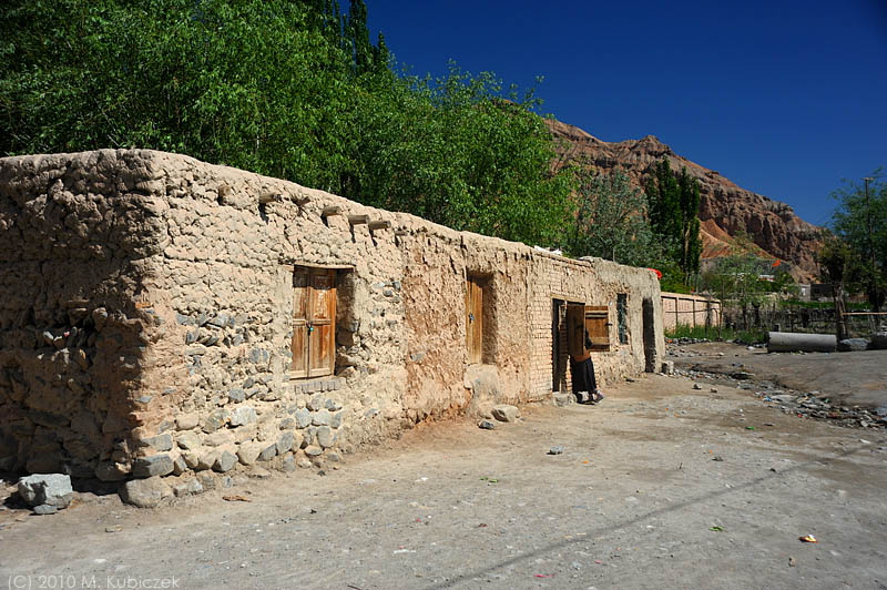 d7011 296.jpg