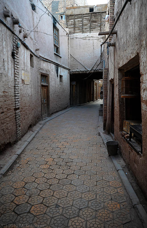 d7011 178.jpg
