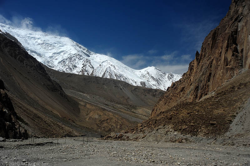 d7011 330.jpg
