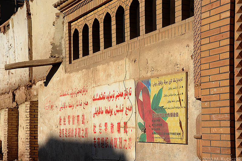 d7010 256.jpg