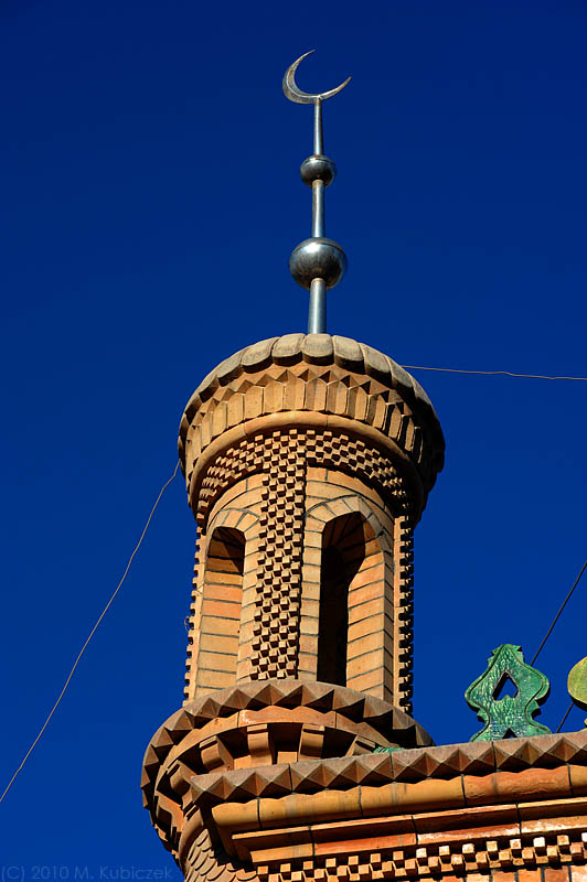 d7010 257.jpg