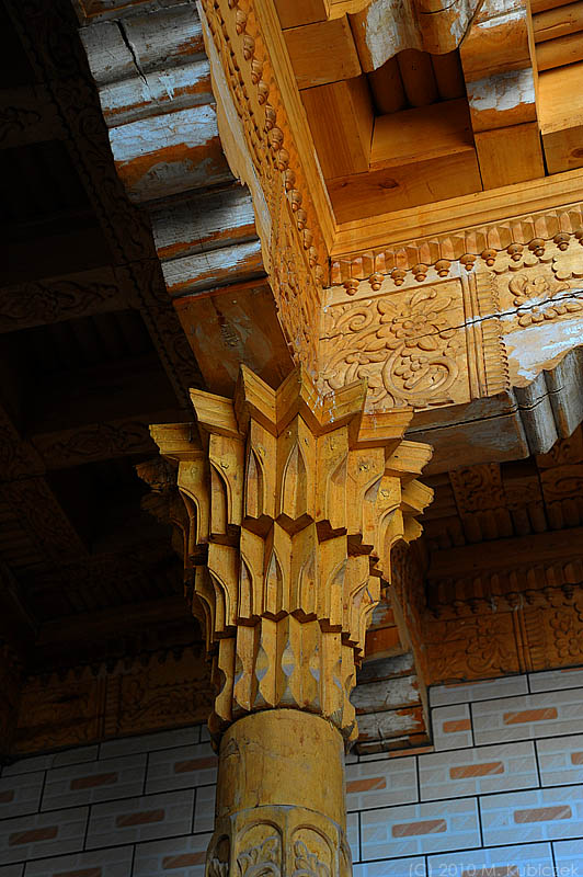 d7010 283.jpg