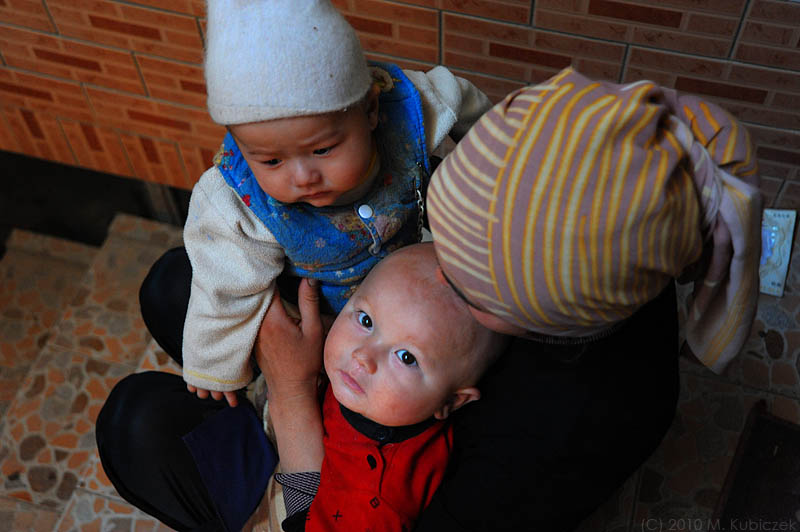 d7010 294.jpg