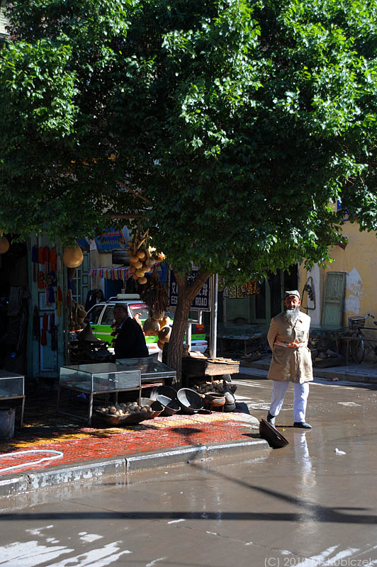 d7010 417.jpg