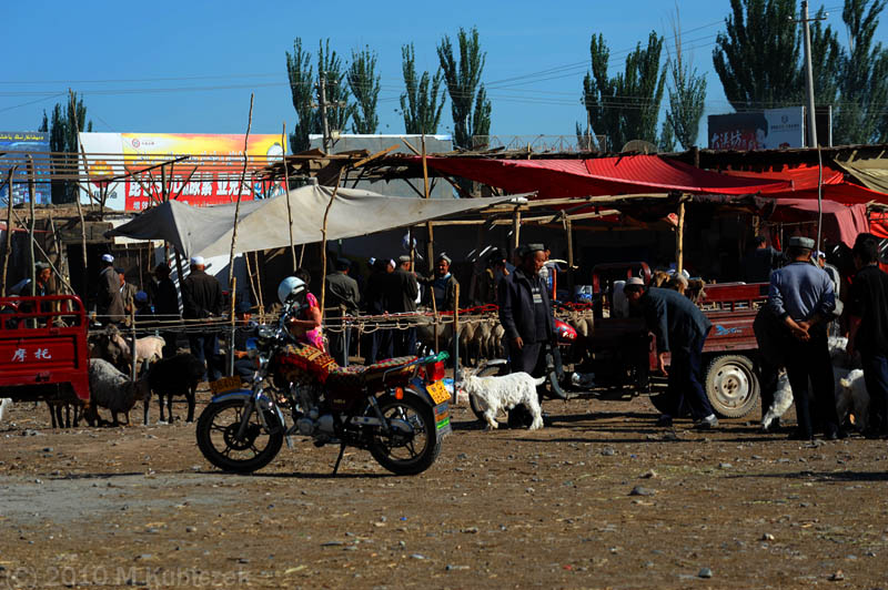 d7013 436.jpg