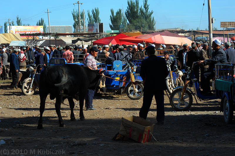 d7013 449.jpg