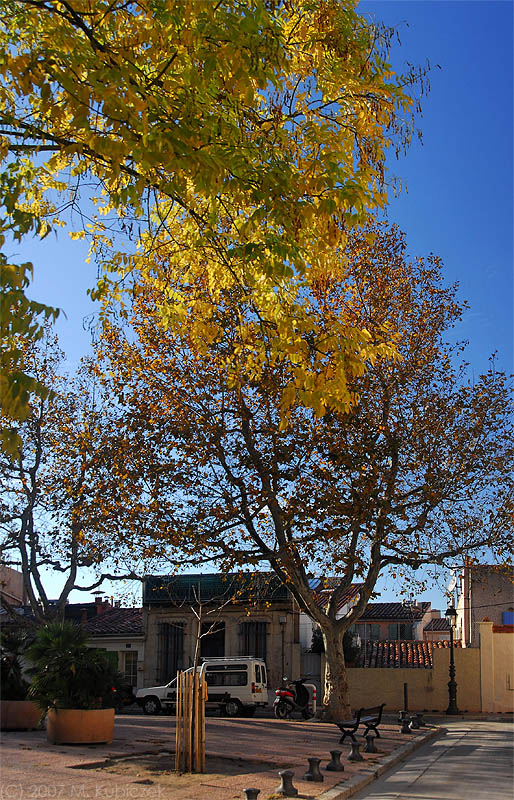 mar07 49.jpg