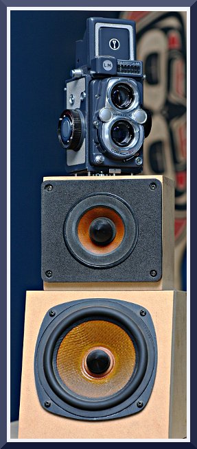 Yashica Totem Pole