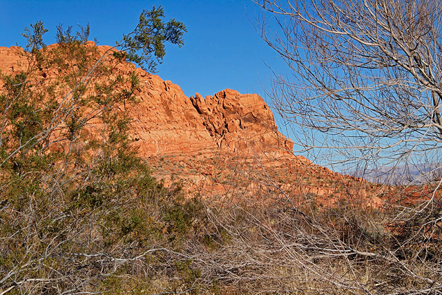 Red rocks behind the Valley of Fire State Park Visitor Centre