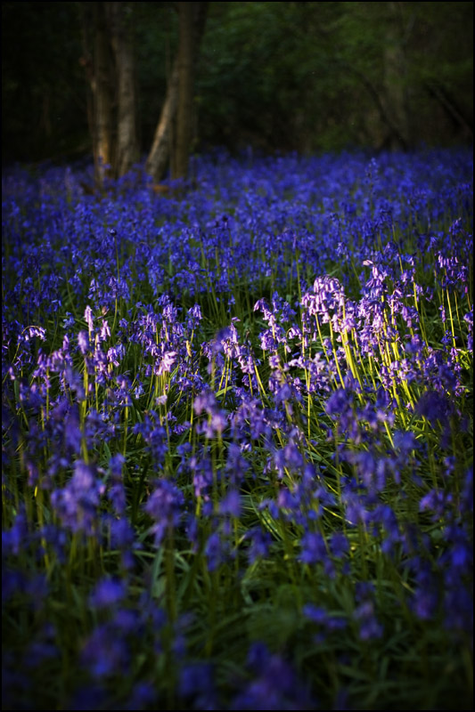 Hambleton - Rutland