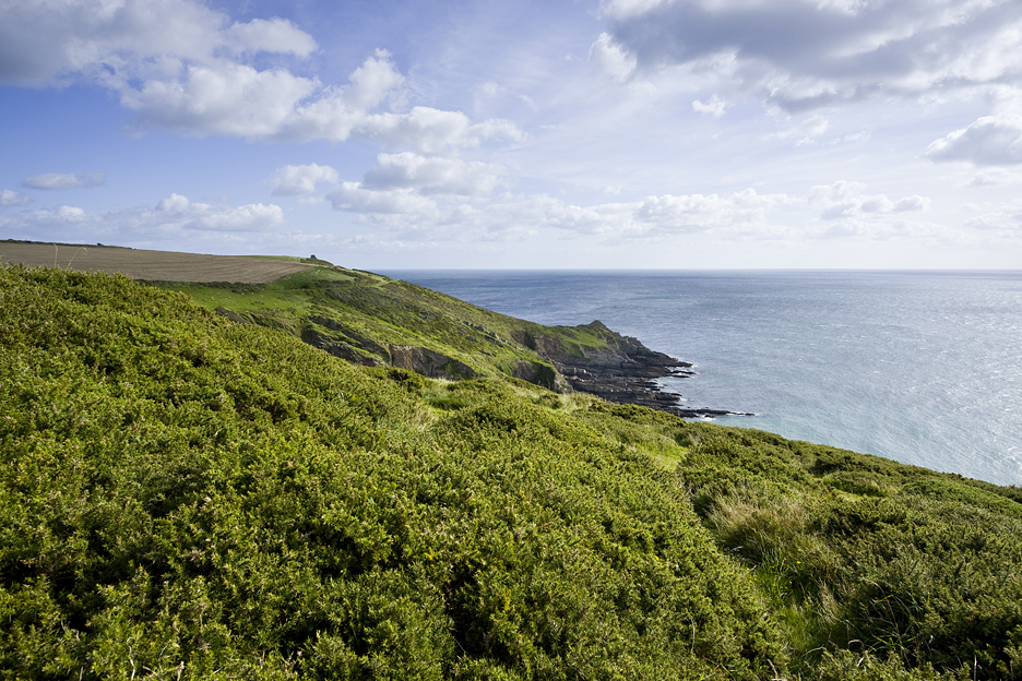 Cliff Walk