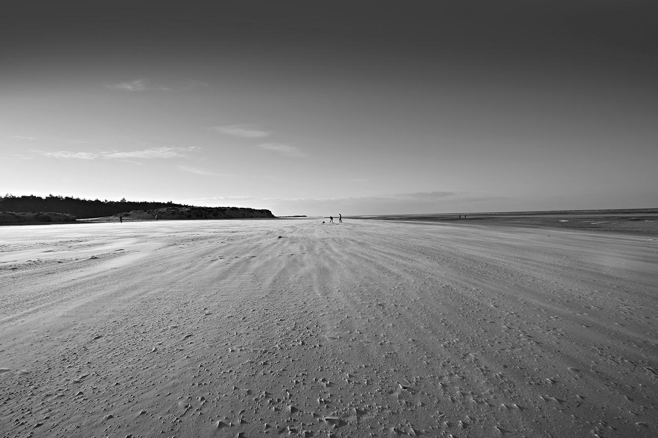 Sandstorm Mono