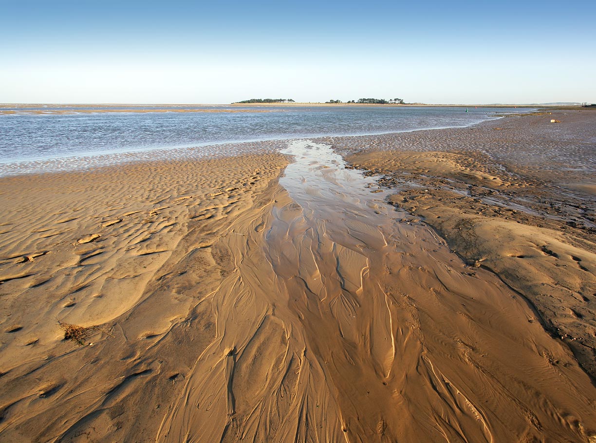 Low Tide