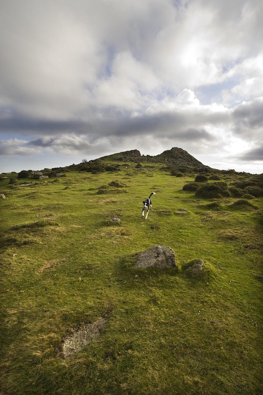 Dartmoor